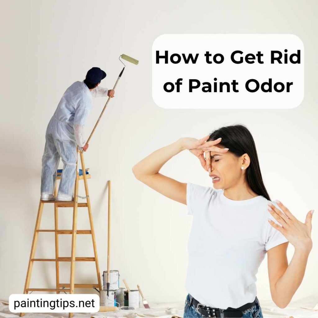 How get rid of paint smell.