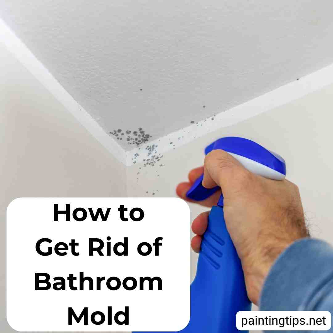 6 Easy Ways to Remove Bathroom Mold - Painting Tips