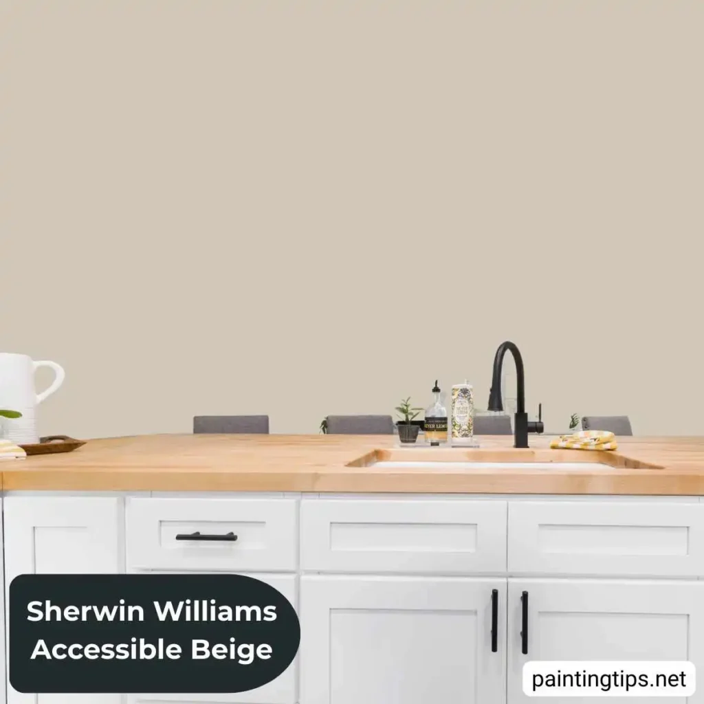 accessible beige kitchen
