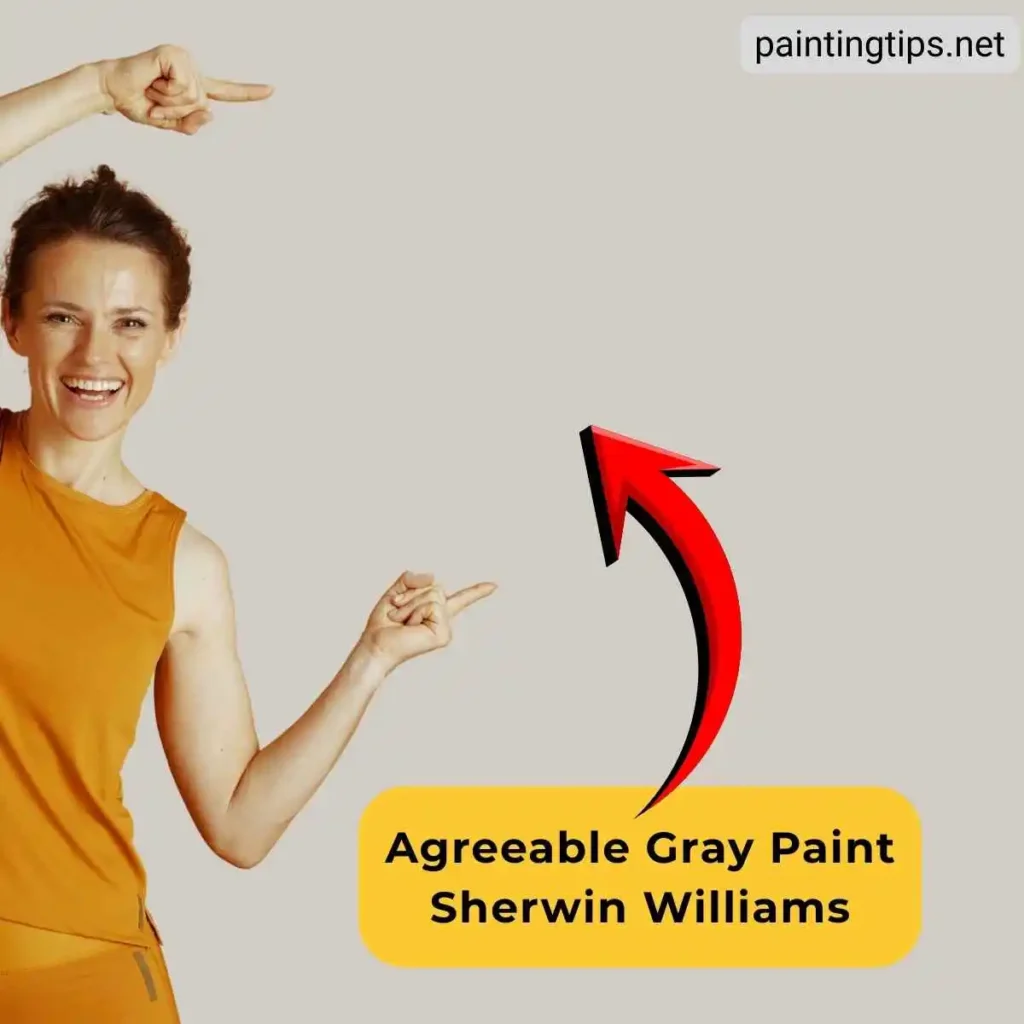 Agreeable gray paint sherwin williams