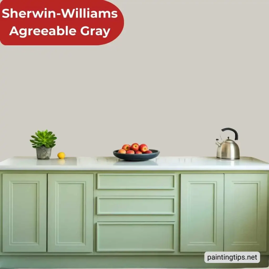 Agreeable gray kitchen