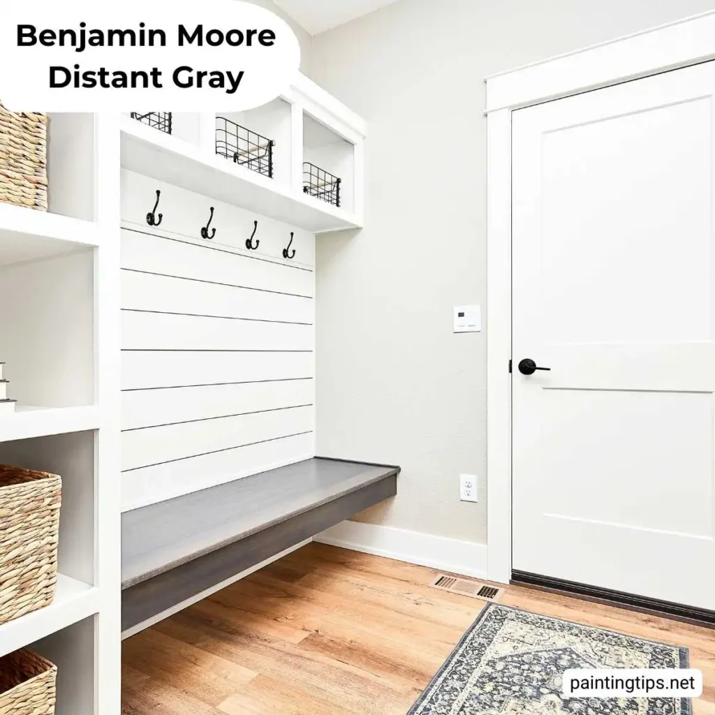 Benjamin moore distant gray  entryway.