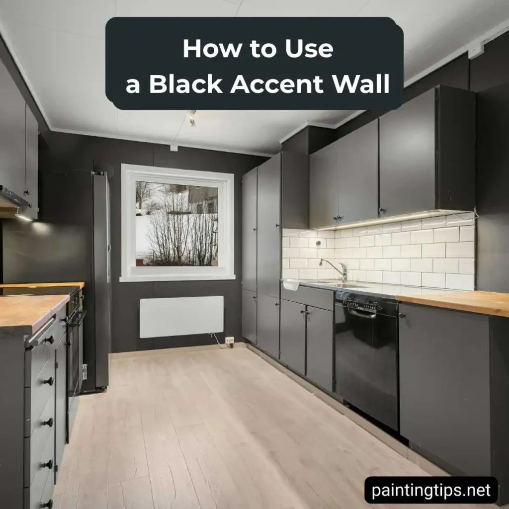 black accent for kitchen