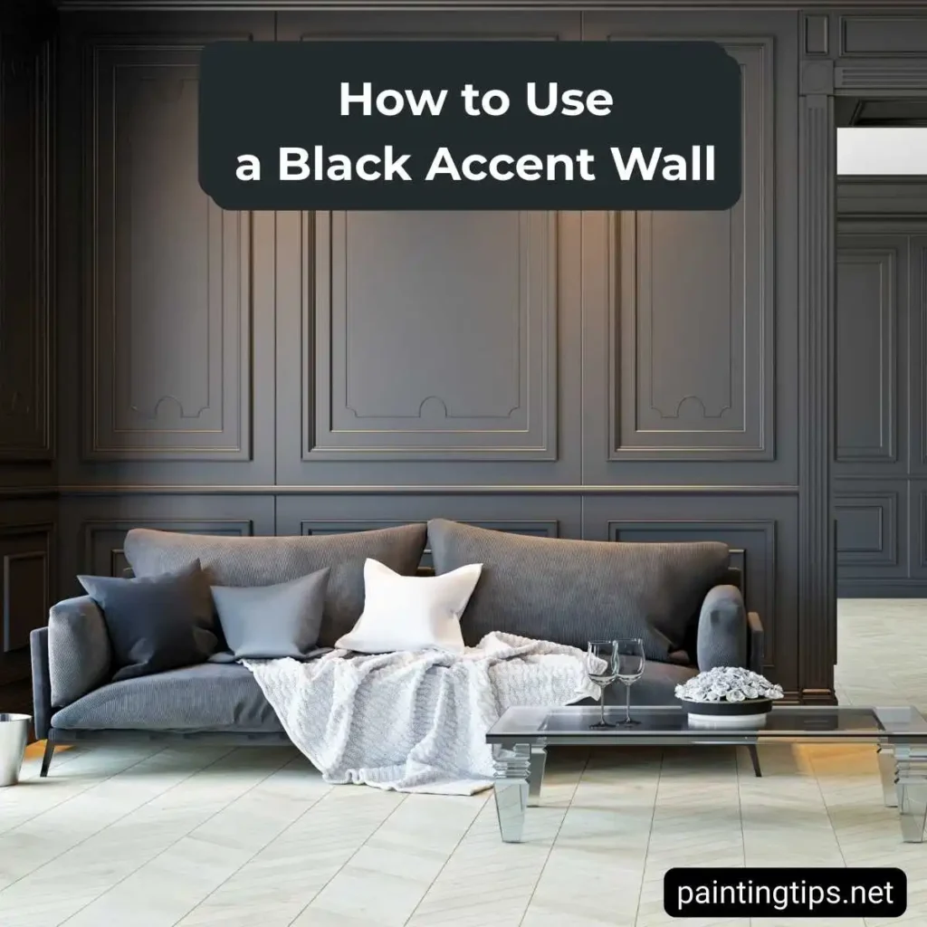 living room black accent wall ideas