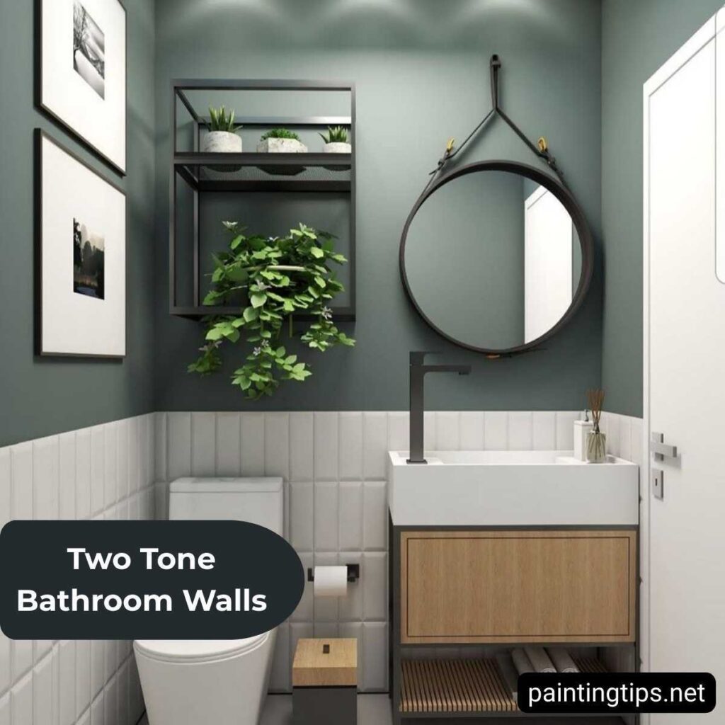 Two tone bathroom walls.