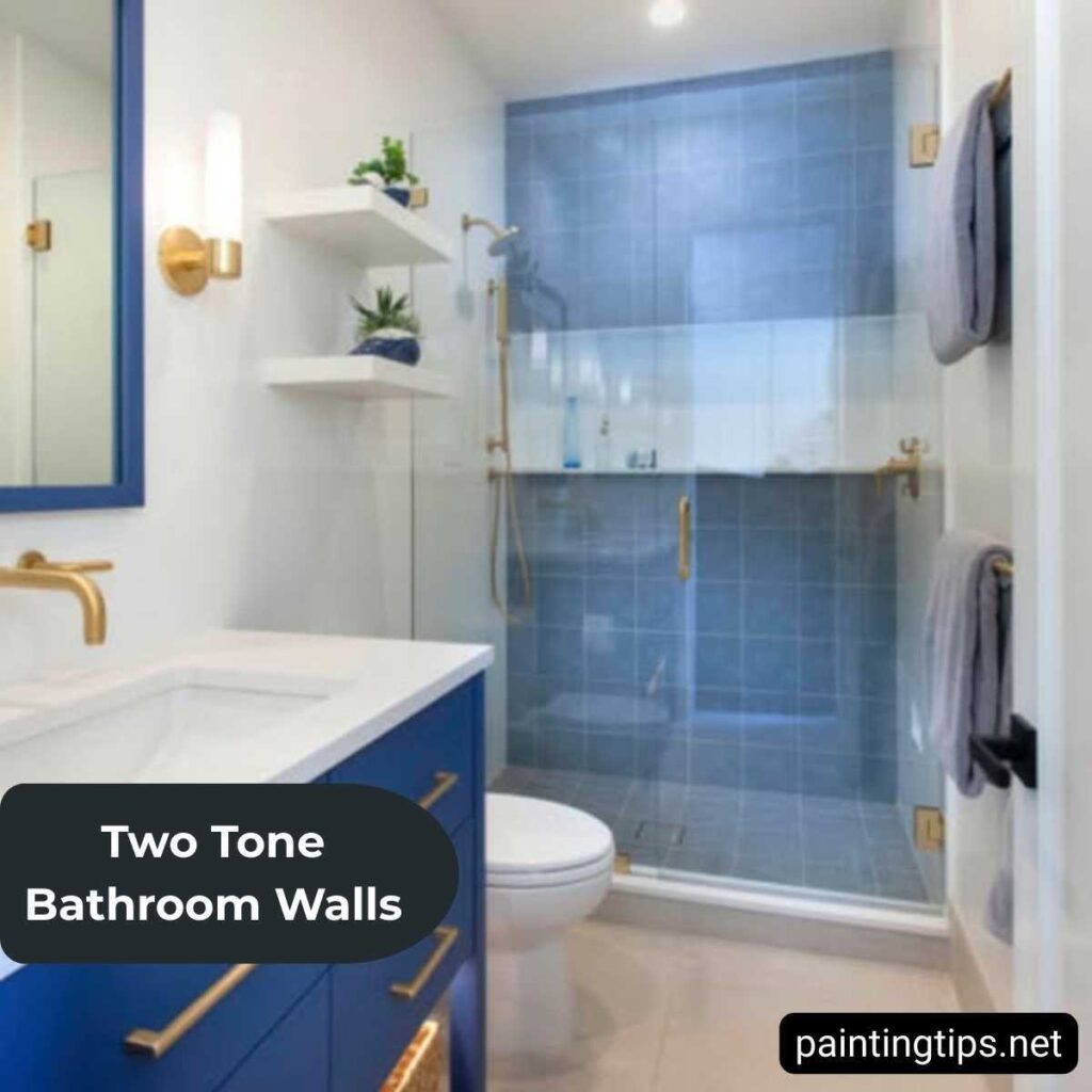 2 tone bathroom wall examples.
