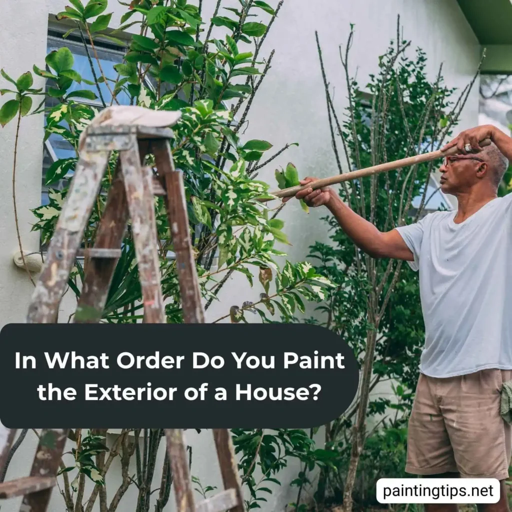 In what order do you paint the exterior of a house?