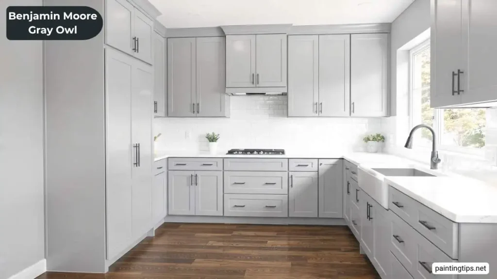 Benjamin moore owl gray kitchen cabinets.