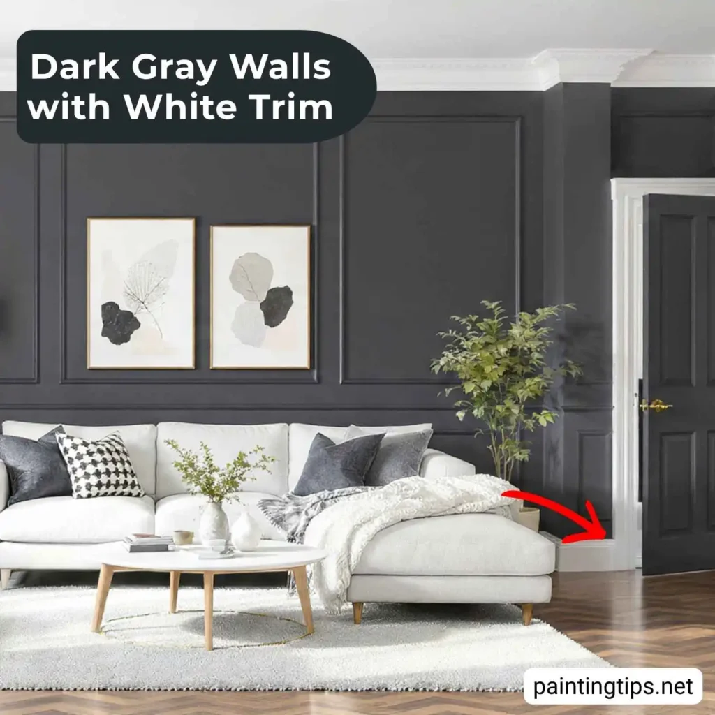 Dark grey walls white trim.