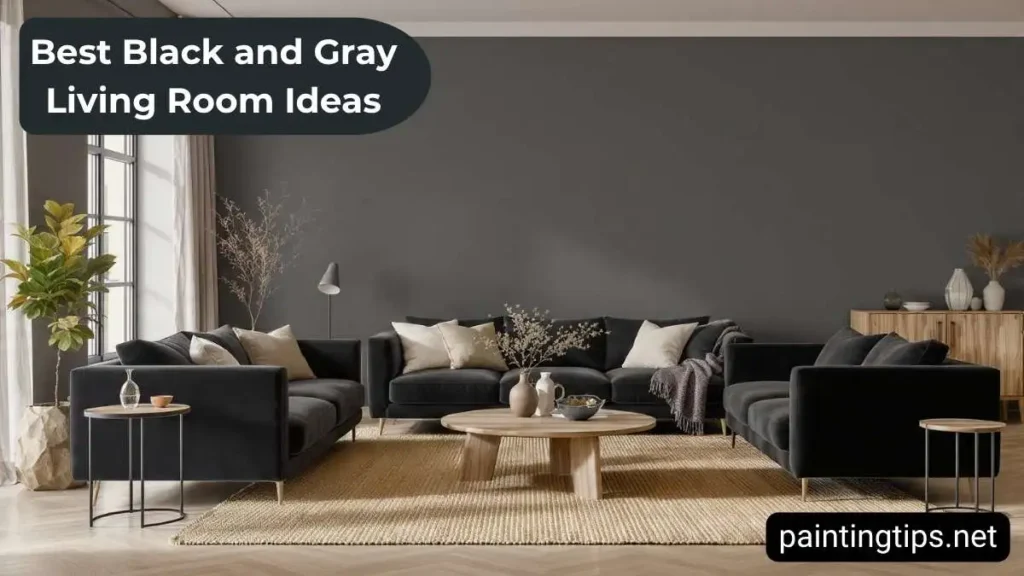 Gray living room with black sofa.