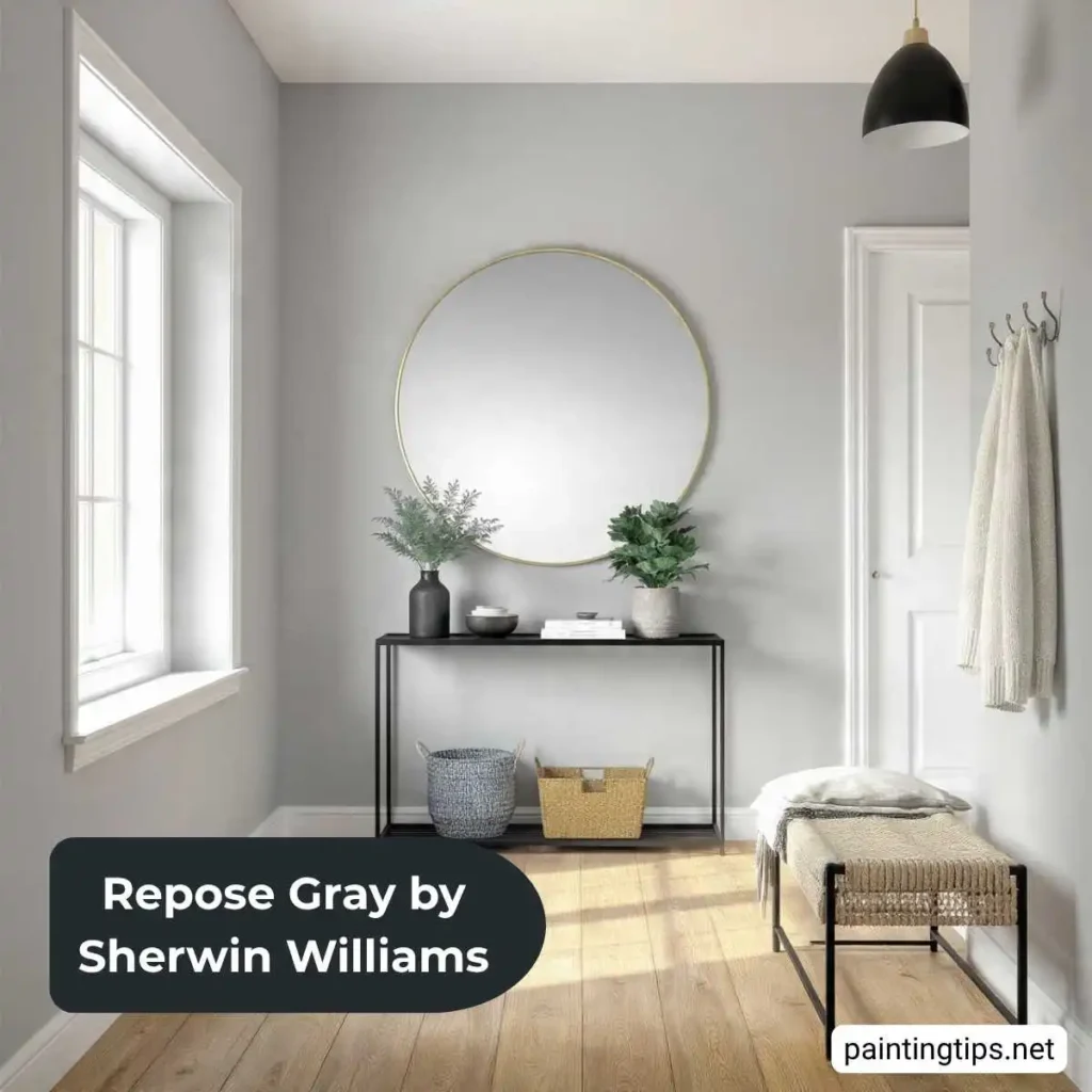 Repose Gray entryway