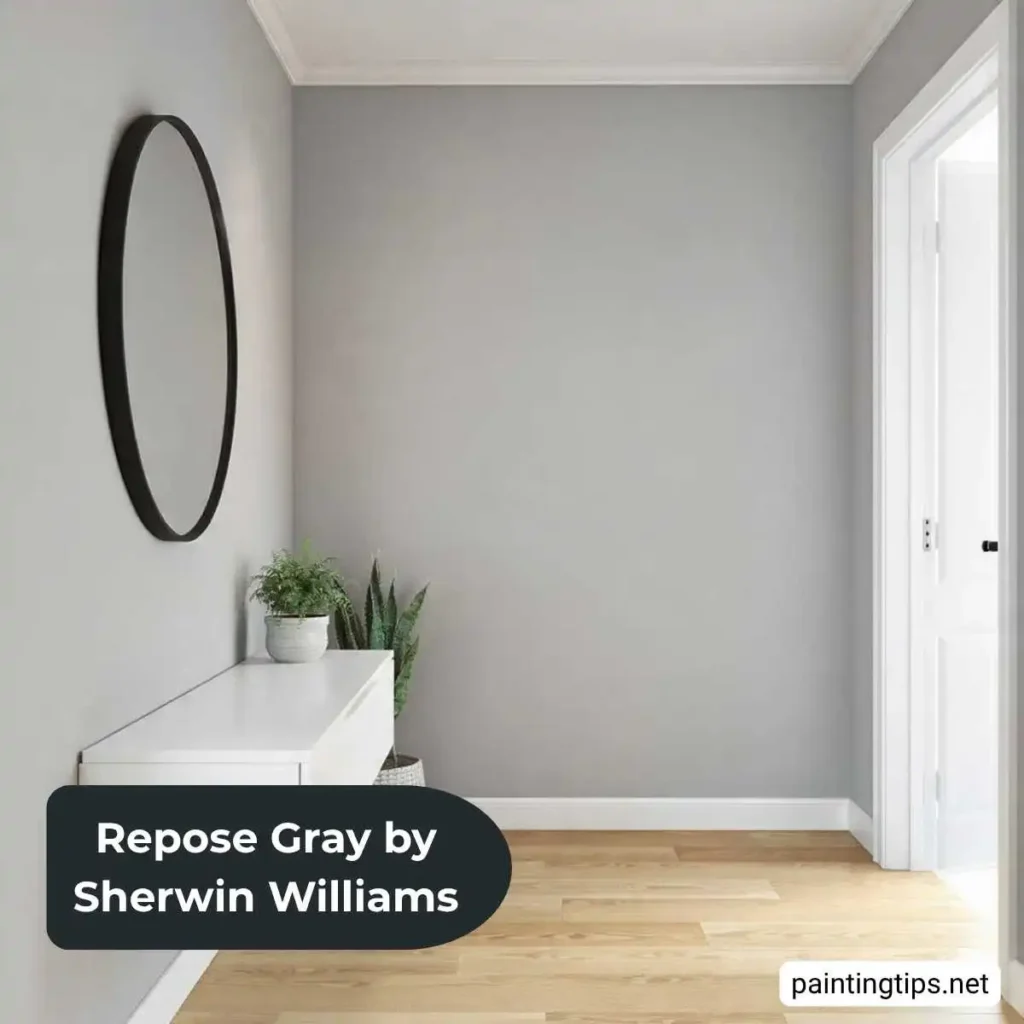 Repose Gray in entryway