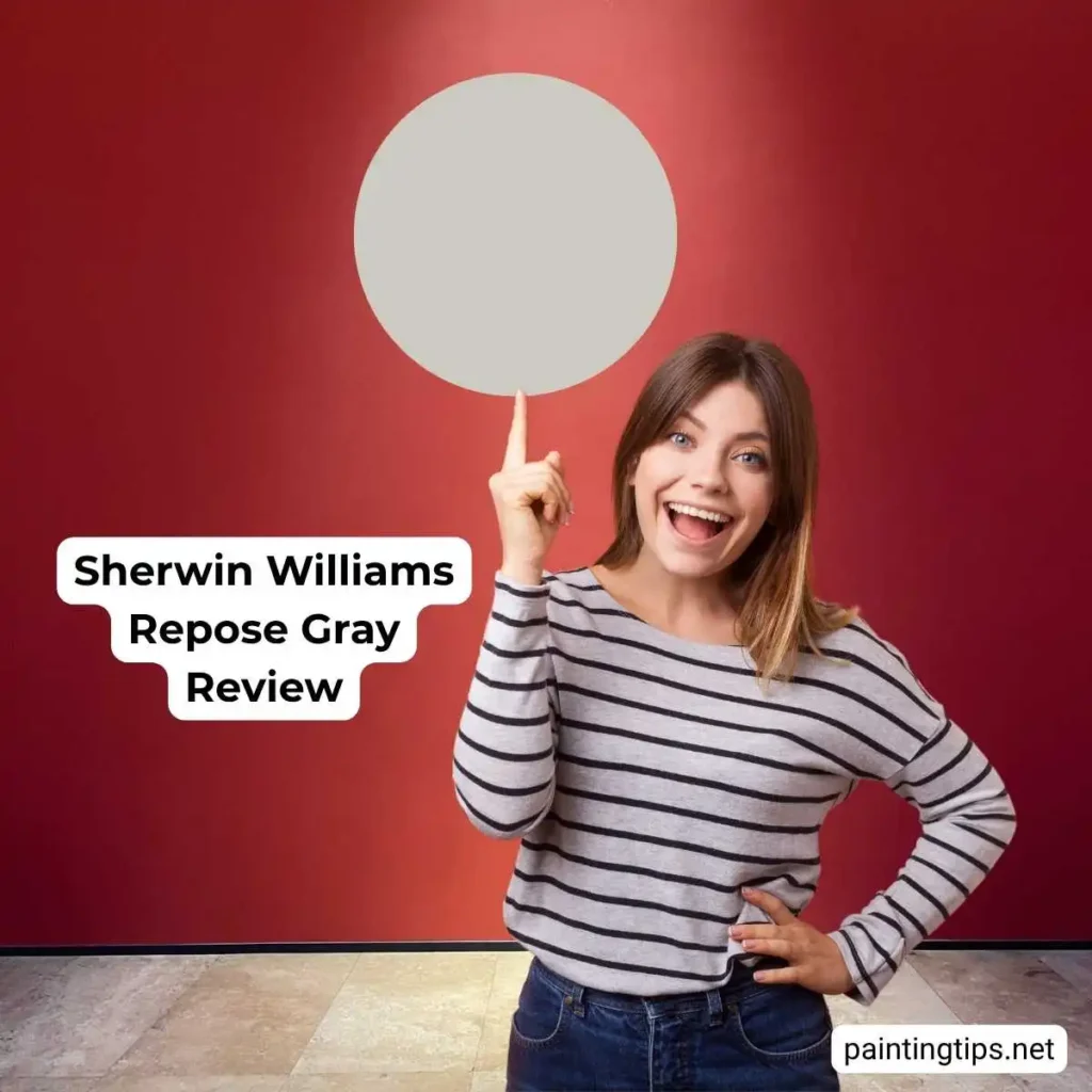 Sherwin Williams Repose Gray
