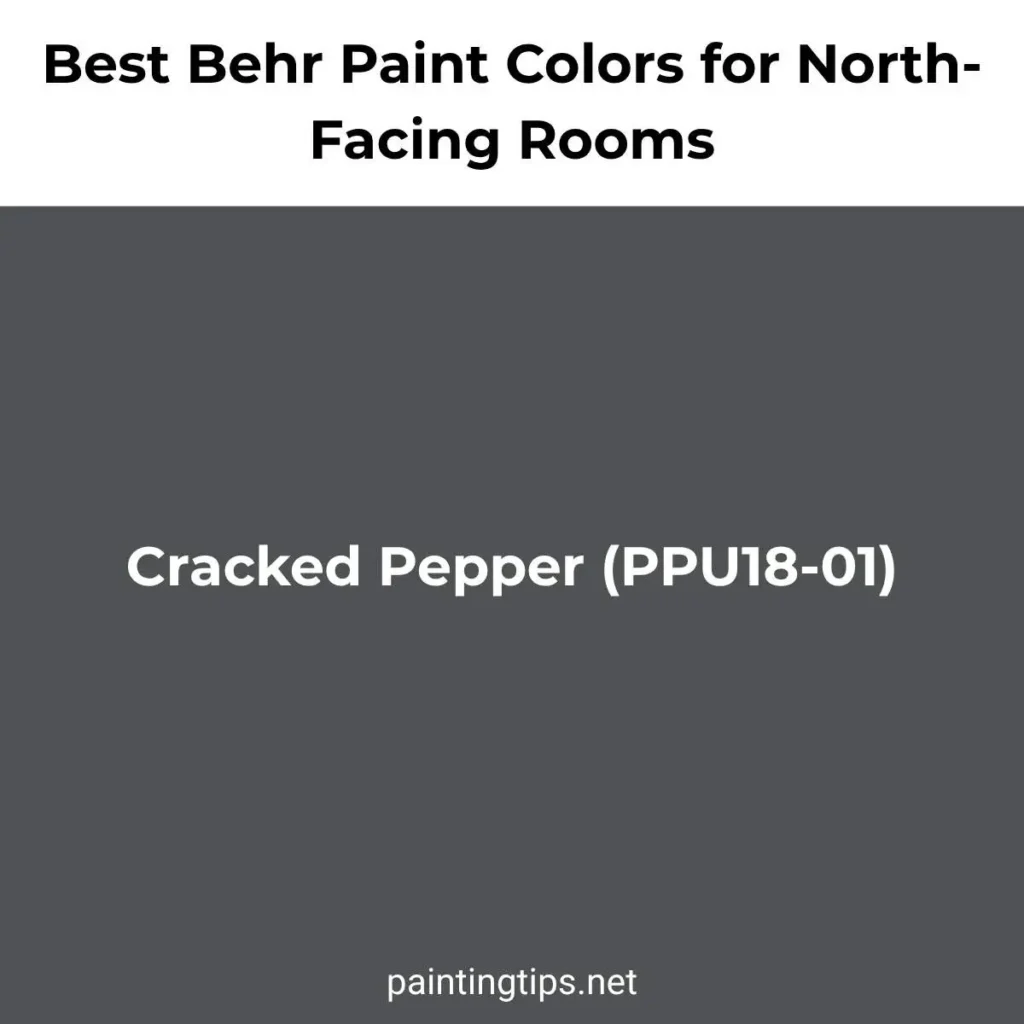 Behr Cracked Pepper PPU18-01 paint color for a north-facing room.