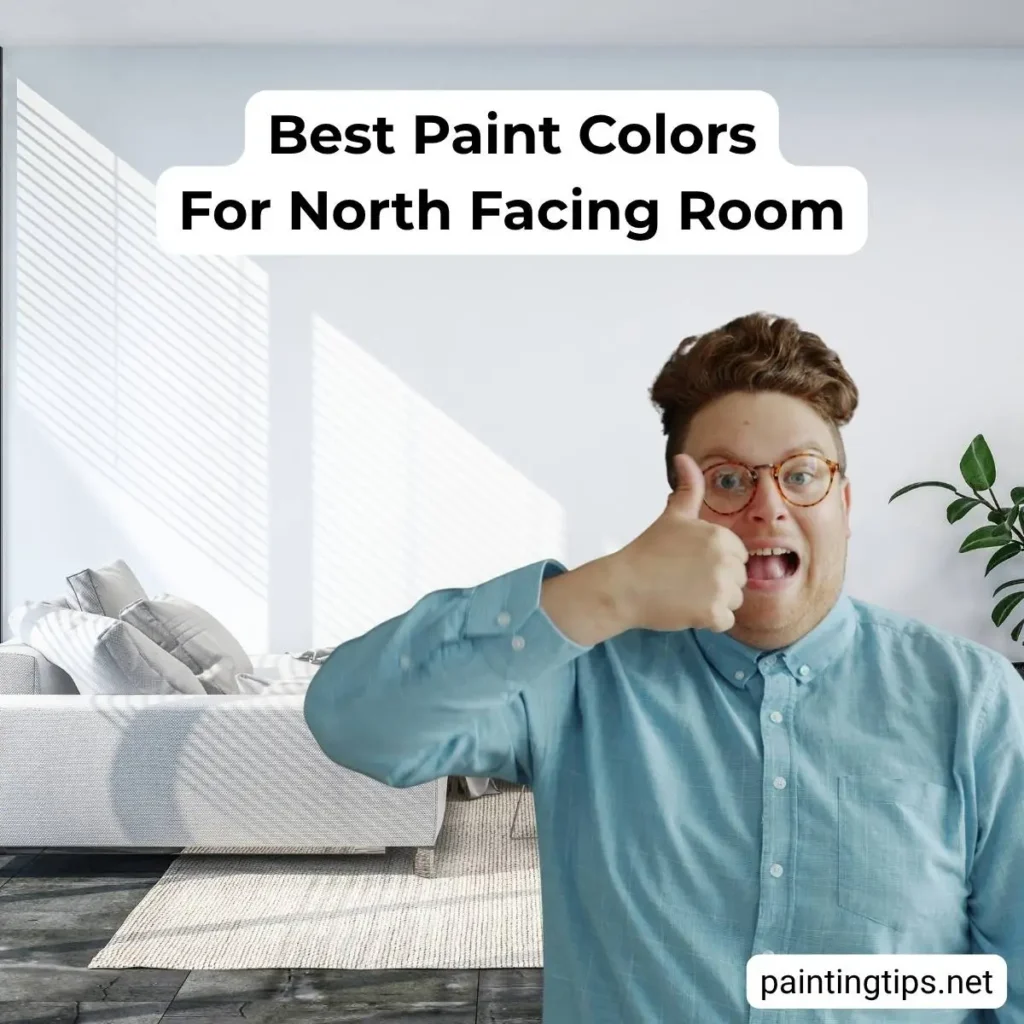 Paint colors for north facing room.