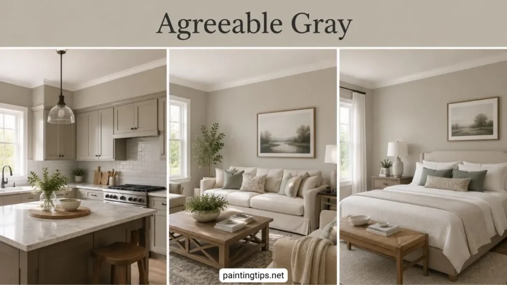Agreeable gray room by room