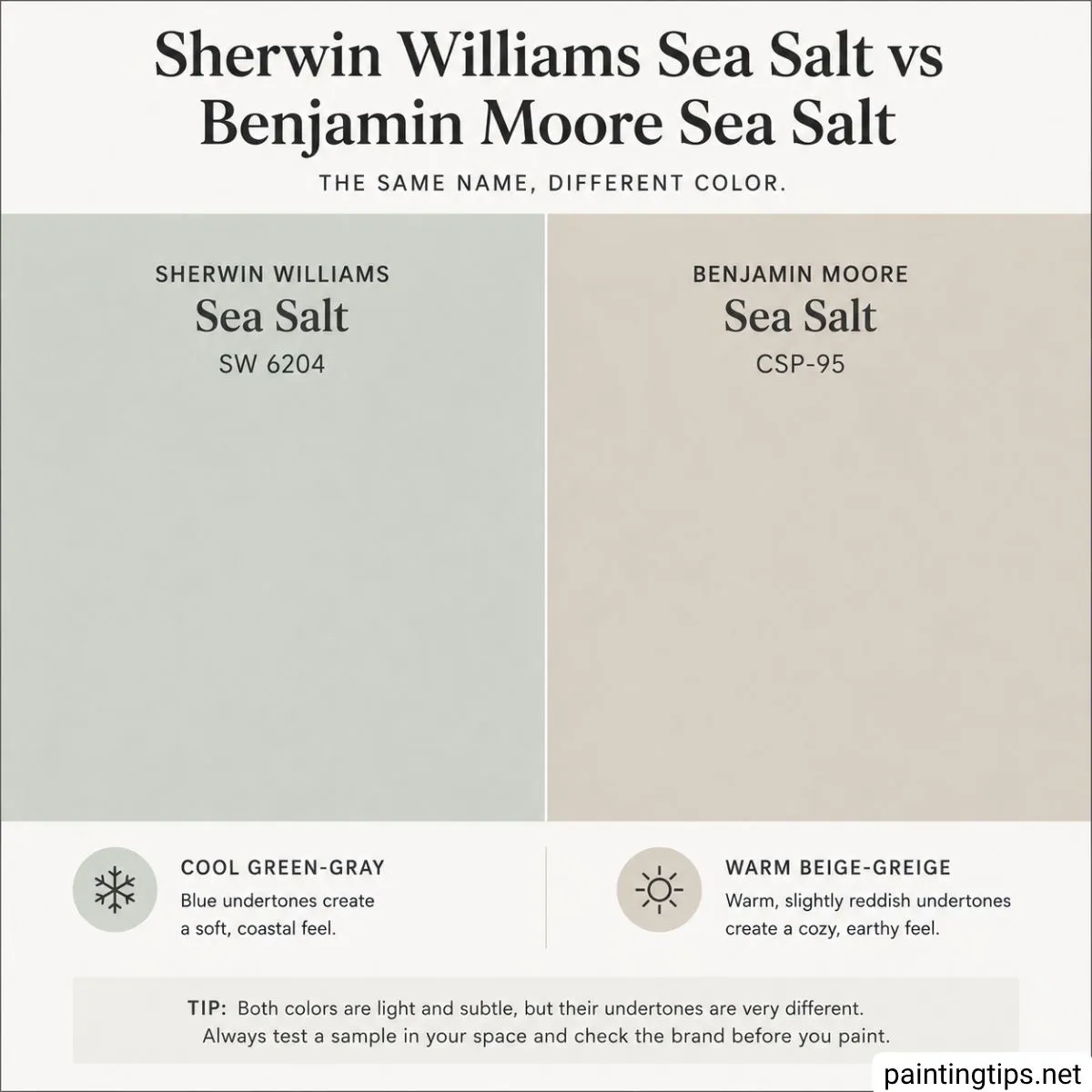 Sherwin Williams Sea Salt vs Benjamin Moore Sea Salt