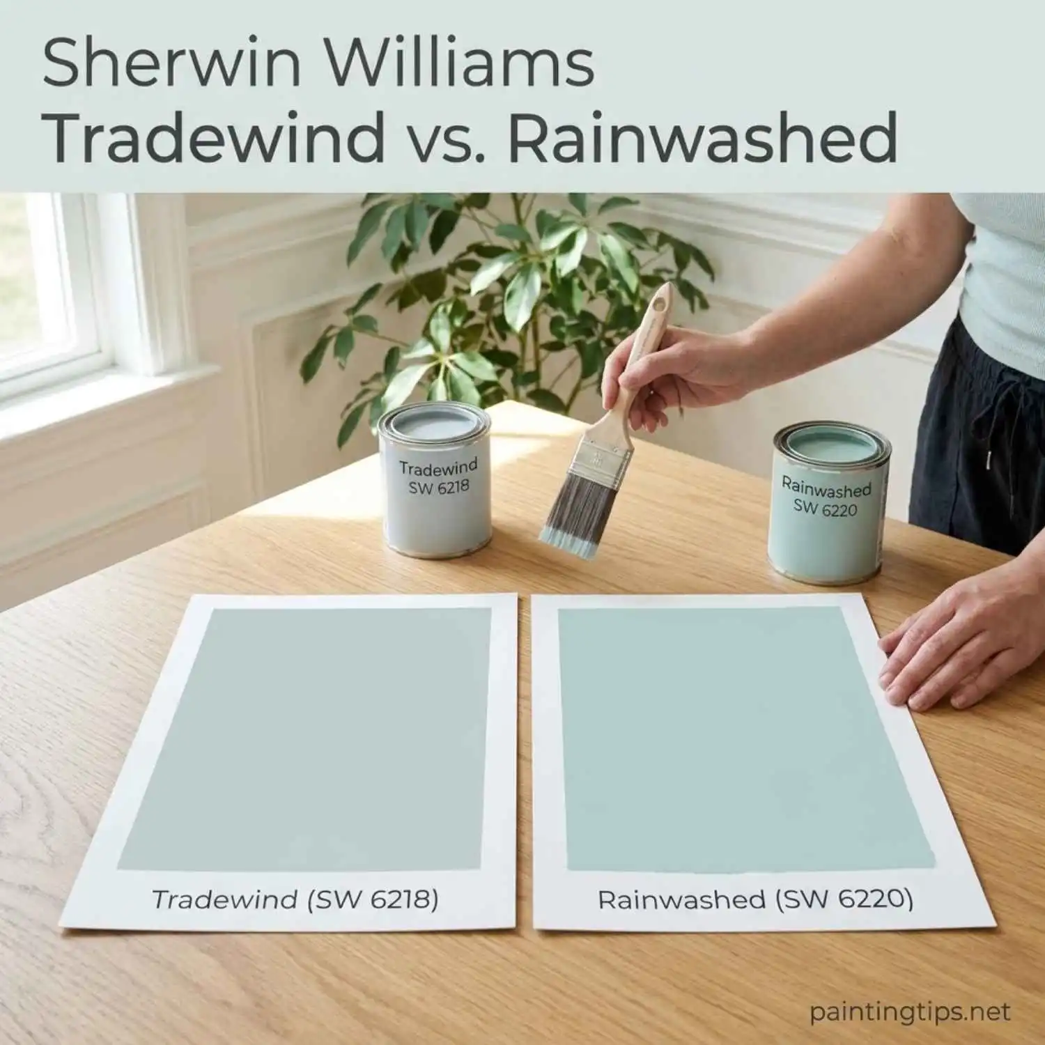 Sherwin williams tradewind vs rainwashed.